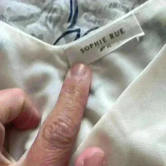 Sophie Rue xl cream chiffon top - Picture 2 of 5